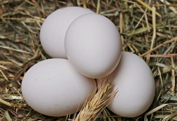 La dieta del huevo implica el consumo diario de huevos de gallina. 